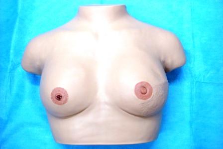 【婦人科】乳癌教育用視触診モデル（精密型）