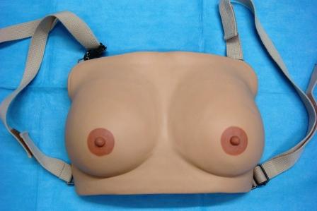 【婦人科】乳癌教育用視触診モデルⅡ型