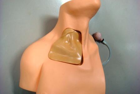 【中心静脈カテーテル挿入】CVC挿入シミュレータ　エコーガイド中心静脈挿管シミュレータ