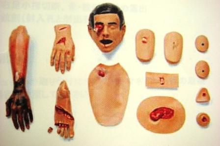 【外傷】トラウマモジュールセット①