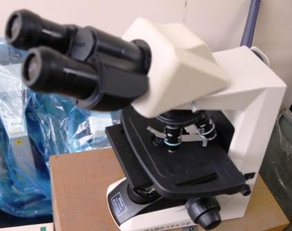 【器具・備品】顕微鏡