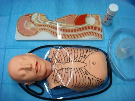 【基本看護技術】経管栄養シミュレータ（経鼻・経口・胃ろう）