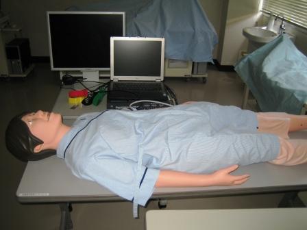 【基本的身体診察】フィジカルアセスメントモデル　Physiko（フィジコ）