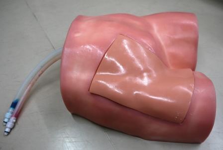 【中心静脈カテーテル挿入】大腿動脈穿刺トレーナー　フェモララインマン