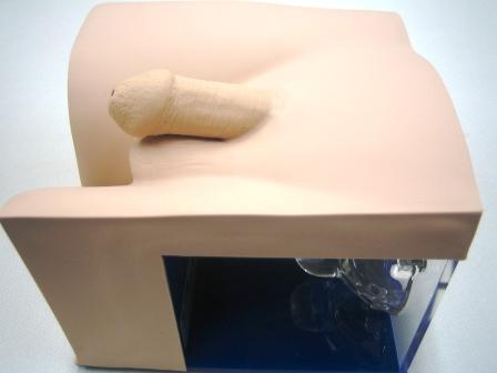 【導尿】男性導尿モデルⅠ型