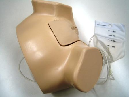 【導尿】女性導尿モデルⅢ型