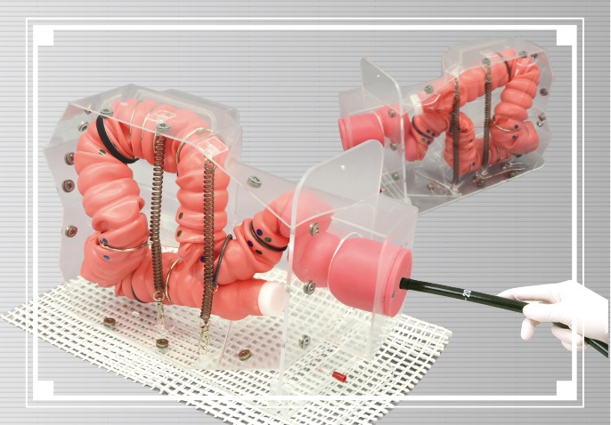 【処置・手術・内視鏡】NKSコロンモデル（CTC解析モデル）