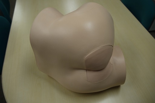 【検査】糞便採取モデル