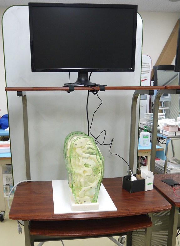 【処置・手術・内視鏡】胸腔シミュレータ