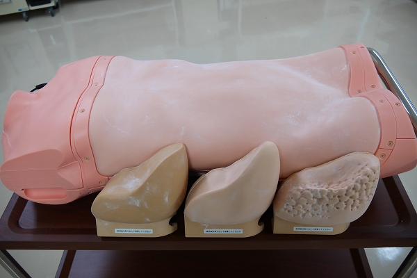 【基本的身体診察】腹部アセスメントモデル