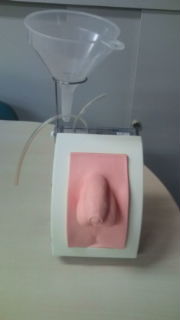 【導尿】新型男性導尿モデル（M78）