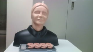 【基本的身体診察】耳の診察シミュレータ　EARⅡ