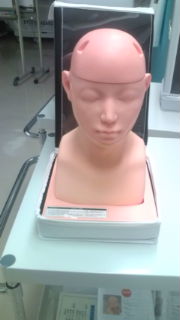 【基本的身体診察】頸部リンパ節・甲状腺触診試験セット（B)