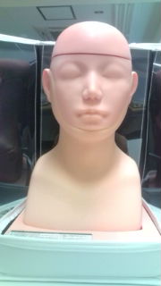 【基本的身体診察】頸部リンパ節・甲状腺触診モデル