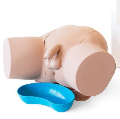 【導尿】男性導尿トレーナー