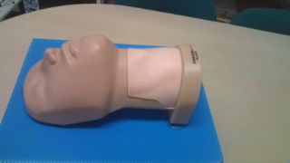 【救急】輪状甲状間膜切開モデル