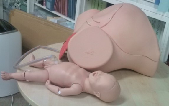 【産科婦人科】分娩シミュレータ　Basic