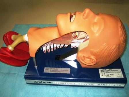 【救急】アンブ　気管挿管練習モデル