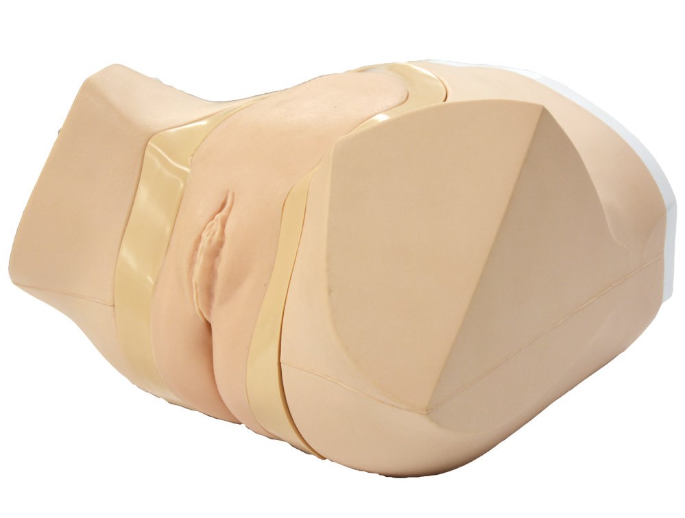 【導尿】女性導尿・浣腸シミュレータⅡ