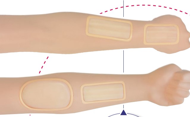 【採血・輸液・注射】採血・静注シミュレータ　シンジョーⅢ