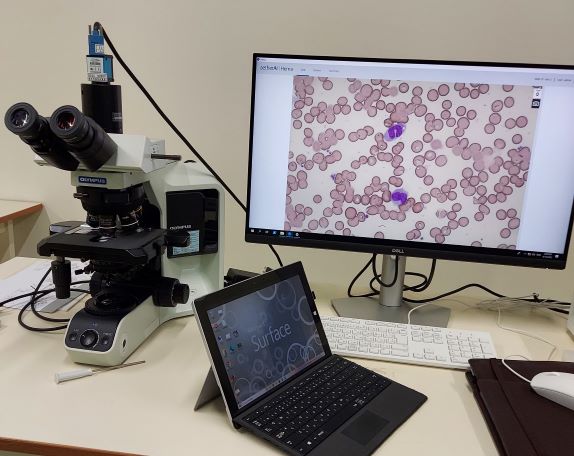 【検査/診断】AI骨髄塗抹標本自動分類教育システム