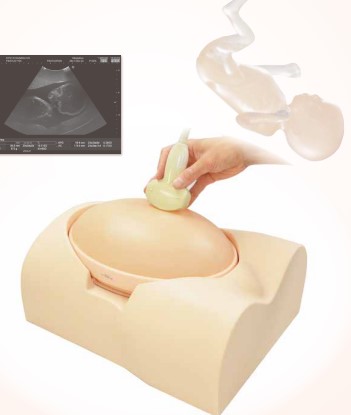 【超音波診断/婦人科/小児】胎児超音波診断ファントム