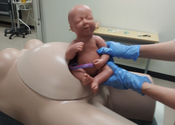 【産科婦人科】【小児科】切開創胎児娩出トレーナー