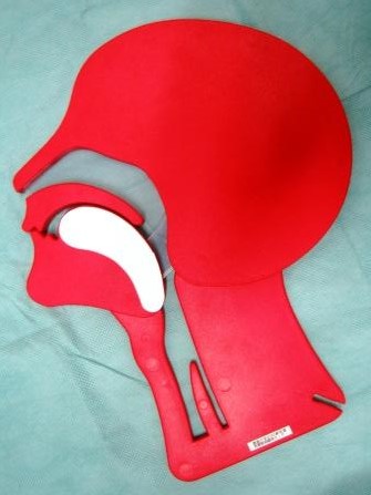 【救急】ヘッドモデル