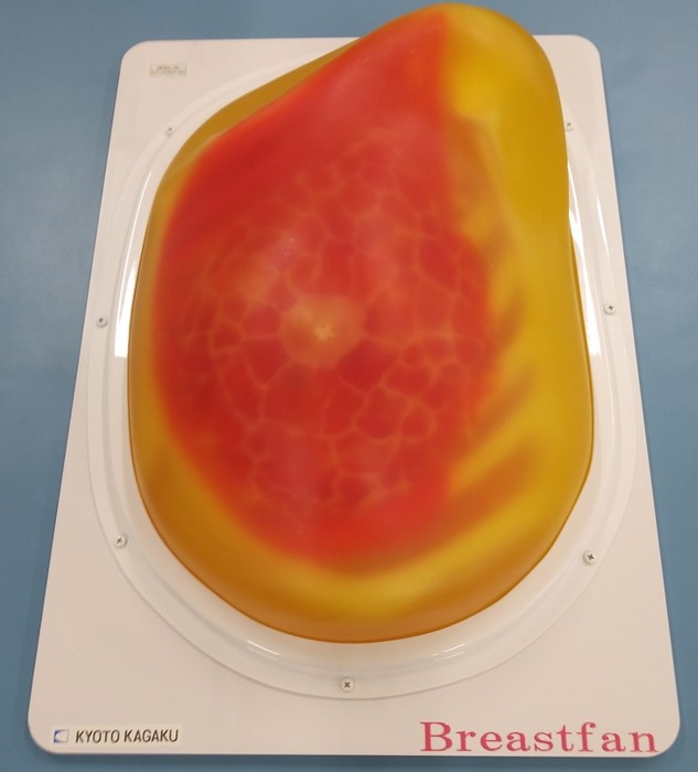 乳房超音波診断ファントム