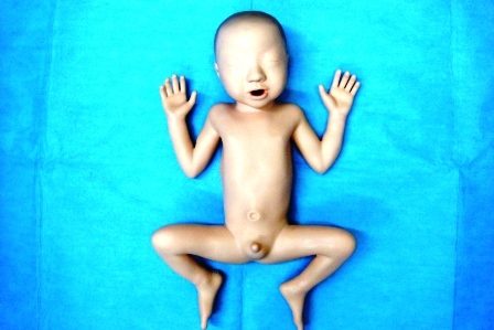 【小児】コーケン未熟児モデル（約３０週齢）