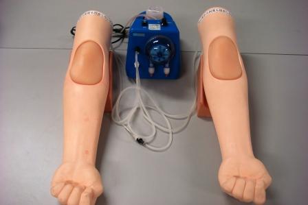 【採血・輸液・注射】採血・静注シミュレータ　シンジョー（腕２本で１セット）