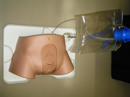 【導尿】新型女性導尿トレーナー