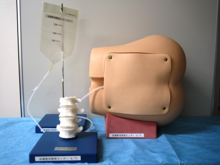 【処置・手術・内視鏡】腰椎・硬膜外穿刺シミュレータ　ルンバールくんⅡ