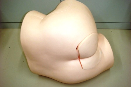 【基本的身体診察】直腸診シミュレータ