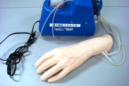 【採血・輸液・注射】手背静脈注射シミュレータ（成人用手背モデル）