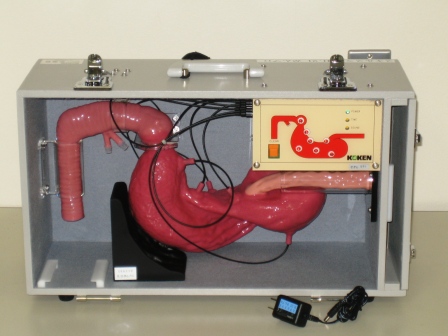 【処置・手術・内視鏡】上部消化管・ERCP研修モデルE型